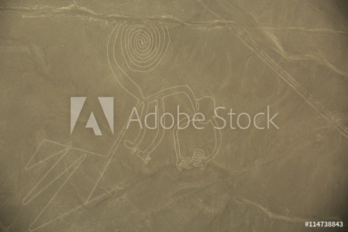 Picture of Nazca Lines  The Monkey